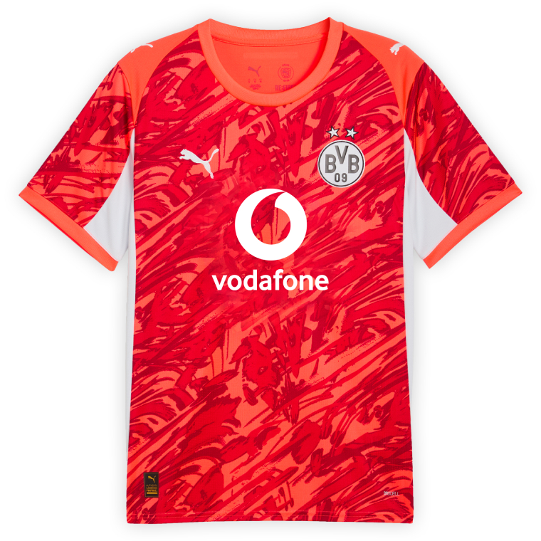 Borussia Dortmund Goalkeeper Red Jersey 25-26