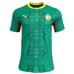 Senegal Away Jersey 2026 (Player Version)